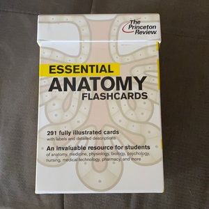 COPY - Anatomy flashcard set